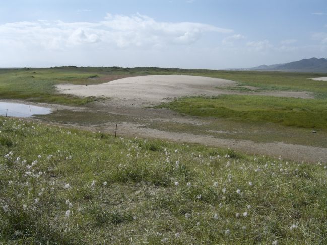  2006:09:06 04:31:49   Aeolian sand filling in channel on N side of Buha in delta region.jpg